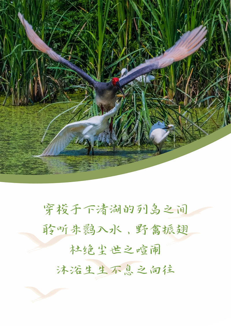 心心想廿 相伴卓然 | 与德清相约 贺廿载生日